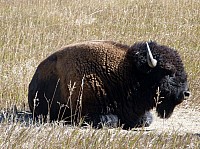 Badlands (40).JPG